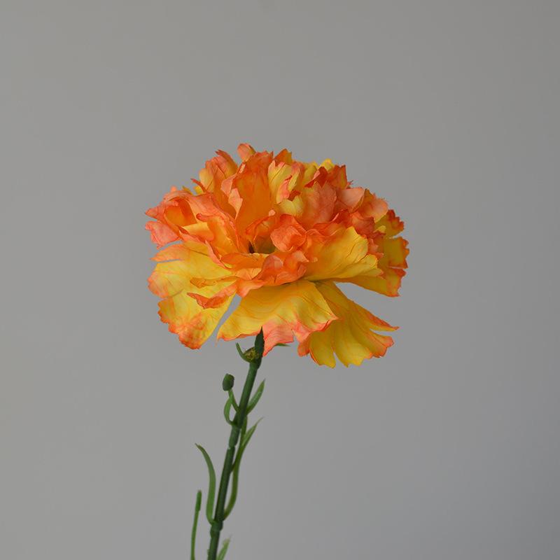 DSC_0900.jpg