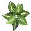 Venta Directa de Fábrica de Plantas Verdes Artificiales, Planta de Filodendro Hoja de Tortuga de 9 Cabezas, Materiales para Paredes de Fondo, Arreglo Floral, Decoración de Interiores y Exteriores