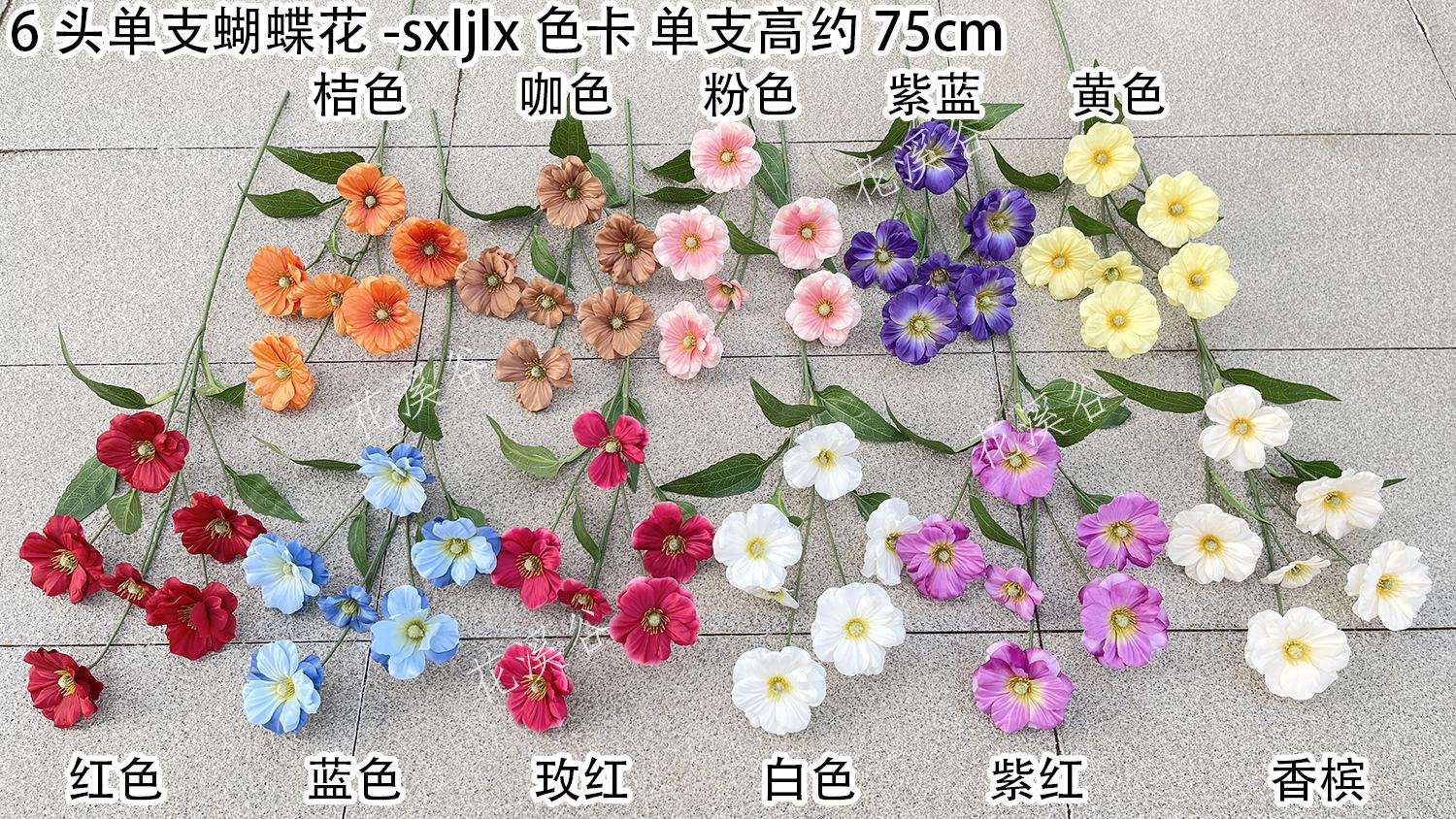 6头单支蝴蝶花-sxljlx 色卡 花溪谷.jpg