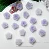 Tiktok popular Provence roxo manicure acessórios luminosos ins manicure pacote de material Camélia manicure suprimentos