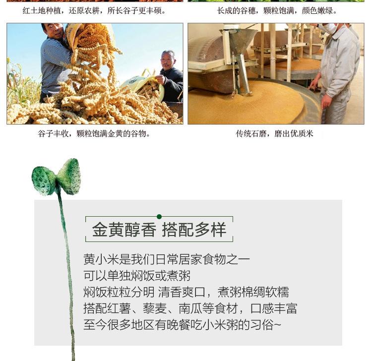 小米描述优化_11.jpg