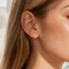 Brincos de Prata 925 com Fecho de Rosca para Mulheres, Argola Vazada Cheia de Zircônia Studs Tipo Rosca, Amigáveis para Dormir, Não Precisam Ser Removidos, Cuidado com o Furo da Orelha