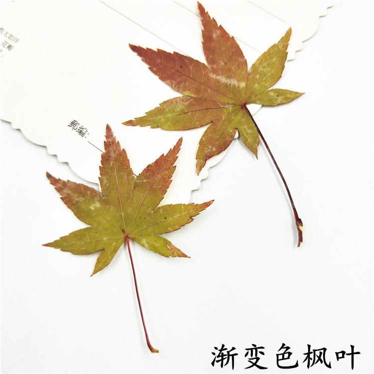 IMG20190111172937