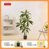 Planta verde de simulación, planta de terciopelo en maceta, iluminación para vestíbulo de hotel, planta falsa de lujo para interiores, decoración nórdica de bonsái para suelo.