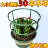 Suporte de flores interno para uso doméstico, suporte universal para orquídeas garra de caranguejo, suporte de folha de lótus, haste de suporte para plantas em vasos de jardinagem