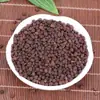 Malanzi, Malanzi, Anluzi, Malanzi, Malanzhi Atacado e Entrega