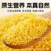 Mijo Amarillo Comercial Etiqueta Privada Personalización 2026 Nueva Fábrica de Arroz Entrega Directa Granos Mixtos Alimento Básico Paquete Grande de 50 Jin Compra Grupal
