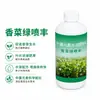 Spray Verde de Cilantro, un Fertilizante Especial Concentrado Hidrosoluble para Cilantro, Hace las Hojas Más Gruesas y Verdes, Promueve el Crecimiento Rápido de las Plántulas y Aumenta el Rendimiento