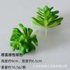 Wow Suculentas Simuladas Personalizadas, Plantas Verdes, Plantas Decorativas en Maceta, Cactus Muebles para el Hogar, Suculenta Falsa DIY Bonsái