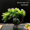 Decoração de Apresentação de Pratos de Restaurante de Hotel com Flores e Plantas, Decoração de Bandeja de Sashimi e Frutos do Mar, Guarnição de Sushi Japonês, Enfeites Criativos