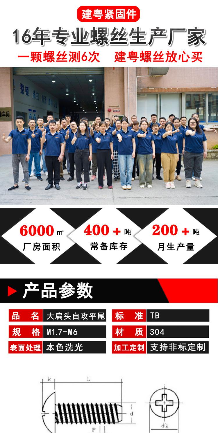 大扁头自攻平尾建粤详情页_01.jpg