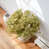 Flor de Pelo con Garra de Nueve Puntas Hierba Artificial Flores Artificiales Fabricante Flores Falsas Plantas Verdes Venta al por Mayor Decoración de Bodas Manualidades Estilo Ins Transfronterizo