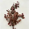 Hojas de Manzano, Flores Eternas, Flores Reales, Eucalipto de Hoja Redonda, Flores Secas, Arreglos Florales DIY, Materiales Florales, Envío Directo desde Fabricante de Yunnan, DIY Transfronterizo