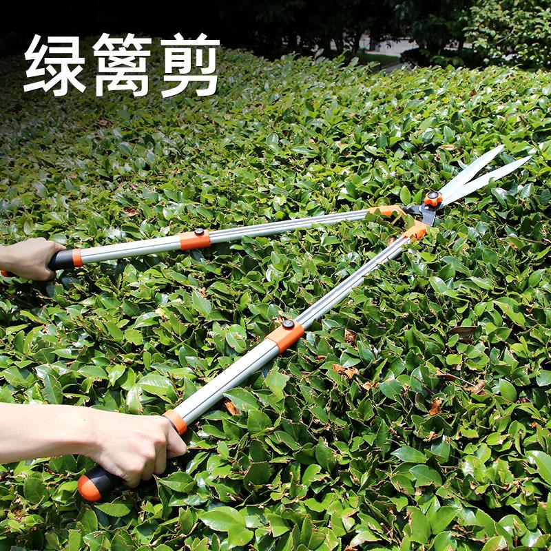 主图2
