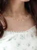 Colar Borboleta de Aço Titânio Estilo Floral Minimalista Europeu e Americano para Mulheres, Gargantilha Versátil da Moda Folha Temperamento Raio Clavícula