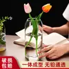 Jarrón de Vidrio Transparente Moderno y Sencillo Estilo Ins Flores Hidropónicas y Plantas Verdes Adornos para Arreglos Florales Micro Paisaje Botella Ecológica