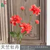 Flores de Lisianthus Artificiales de 5 Cabezas con Hojas, Flores Decorativas para Bodas, Accesorios de Fotografía, Decoración del Hogar, Sala de Estar, Arreglos Florales para Centros Comerciales