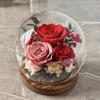 Cubierta de Cristal Esférica de Flor Eterna Flor Rosa Girasol Regalo Navidad Día de San Valentín Regalo Flor Eterna Esférica
