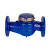 Medidor de Agua Húmedo de Rotor Especial de Magnesio de Guangdong Medidor de Agua Altamente Sensible Pintura en Aerosol Antioxidante Medición Precisa Medidor de Agua Húmedo Horizontal Doméstico