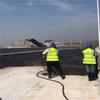 Productos especiales para carreteras y puentes PB(11) tipo fabricantes de revestimiento impermeable de asfalto modificado con polímero a base de agua enviados