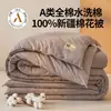Colcha de algodón puro de Xinjiang para maternidad e infancia Clase A, engrosada para invierno, adecuada para camas individuales de dormitorio, colcha de algodón para primavera y otoño, colcha cálida de invierno