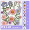 Paquete de Materiales DIY de Flores Secas Flores Prensadas Hechas a Mano Flores Conservadas Marcadores de Libros de Flores Prensadas Hojas de Árbol Real Plantas Pegatinas de Resina Maquillaje Facial