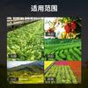 Chengfeng Ride Tractor de Oruga Diésel Micro-Rotocultivador Pequeño Tractor para Jardín de Té Máquina de Fertilización Trickering Manejo de Huertos