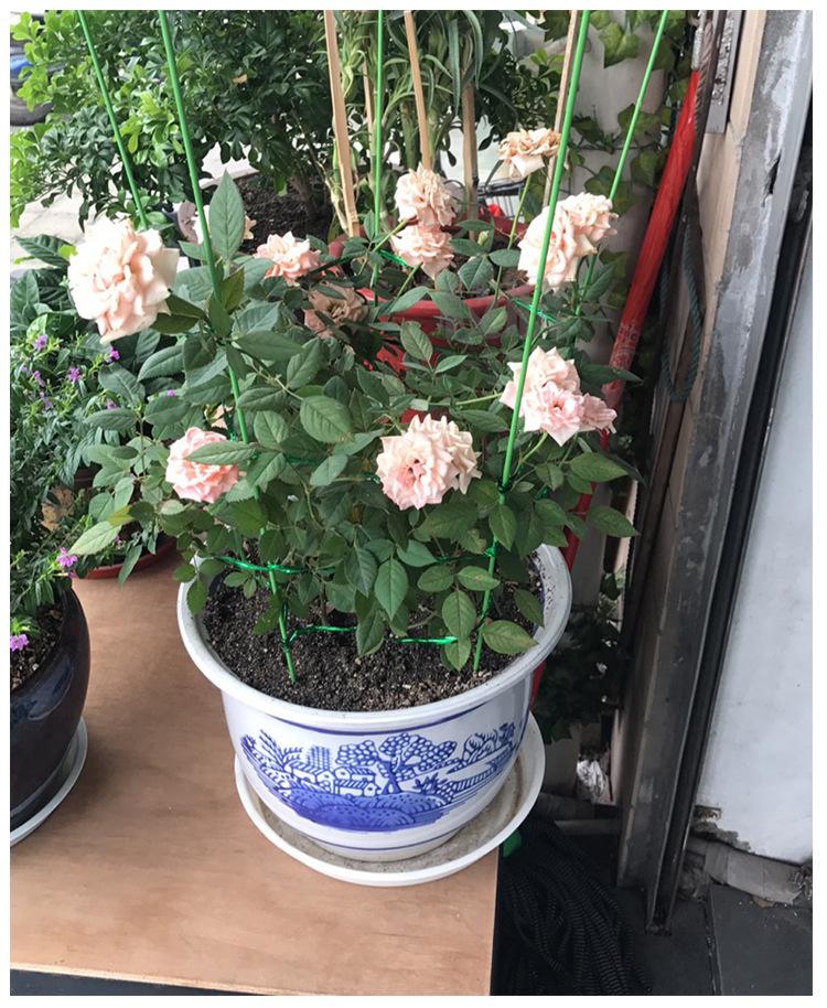 兰花支架_10.jpg