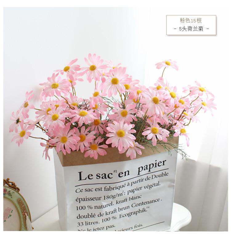 荷兰菊.jpg