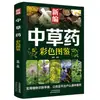 Edição Nova e Autêntica do Guia Colorido Ilustrado de Medicina Herbal Chinesa: Livro Abrangente sobre Medicina Chinesa e Medicina Herbal para Iniciantes, Coleção Completa de Ilustrações Coloridas de Plantas Medicinais