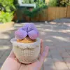 Plantas Pequeñas Suculentas Tejidas a Crochet de Lana Hechas a Mano, Lindos Adornos de Escritorio Simulados de Suculentas Que Nunca Se Marchitarán