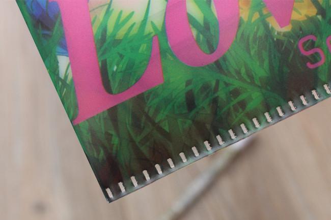 动漫文件夹细节图 (6)