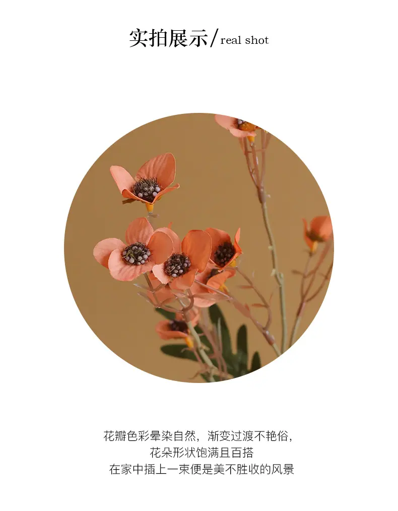 耶特里腊梅_04.jpg