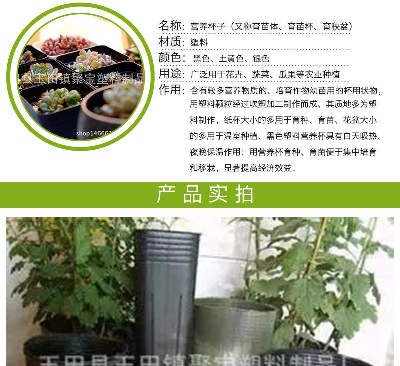 详情页_03