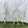 Ramas Secas, Troncos, Ramas Muertas, Madera Muerta, Troncos de Árboles, Perchas para Pájaros, Percheros de Pared, Ramas de Techo, Adornos Decorativos