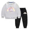 Ropa infantil de unicornio nueva para primavera y otoño, suéter para niños, pantalones, conjunto de dos piezas para bebé, algodón, manga larga, moderno