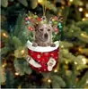 Navidad Transfronteriza Lindos Calcetines de Navidad Perro Árbol de Navidad Decoración Colgante Regalo Creativo Festivo