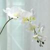 Lan Kwai Fong 9 Impressão 3D Phalaenopsis Flor Artificial Decoração de Interior para Casa Sala de Estar Casamento Flor Artificial Fábrica Atacado