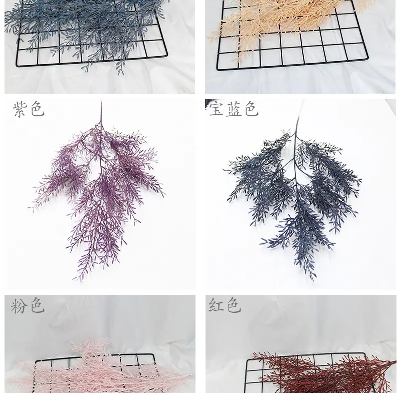 米粒草_07.jpg