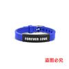Pulseiras de Silicone, Casais Transfronteiriços Europeus e Americanos, Melhores Amigos, Parentes, Presentes de Família, Gravação em Aço Inoxidável Acessórios de Mão Populares