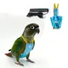 Cuerda de Sujeción para Pájaros, Correa Elástica para Pasear Pájaros al Aire Libre, Adecuada para Periquitos, Cacatúas y Agapornis