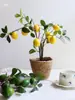 Ramas frutales de limonero, plantas en maceta con fruta fresca, flores artificiales para sala de estar, mueble de TV, mesa de comedor, adornos decorativos