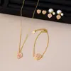 Nuevos Pendientes Colgantes de Corazón, Set de Collar y Pulsera de D Brand, Lujo Ligero, Versátil, Set de Cadena para Clavícula de Gama Alta