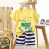 Traje de manga corta para niños de verano 2024, ropa de algodón puro para niños y niñas, camiseta fina, ropa de dos piezas para bebés, venta al por mayor