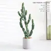 Decoración de ventana de escena interior planta grande columna de cactus nórdico planta verde artificial columna Wu Lun cactus de simulación