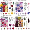 Flores de hortênsia prensadas naturais em azul, rosa e branco, com folhas verdes, adequadas para arte em resina, artesanato DIY e decoração de casa