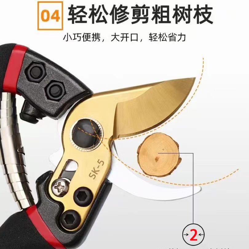 详情-04.jpg