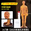 Armazenamento de Pontos de Acupuntura Modelo do Corpo Humano Diagrama de Meridianos Corpo Inteiro Medicina Tradicional Chinesa Doze Pontos de Acupuntura de Cobre Modelo Pequeno de Pele 40cm