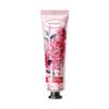Set de crema de manos para plantas frutales FAYANKOU en inglés completo otoño e invierno crema de manos anti-sequedad comercio exterior transfronterizo al por mayor