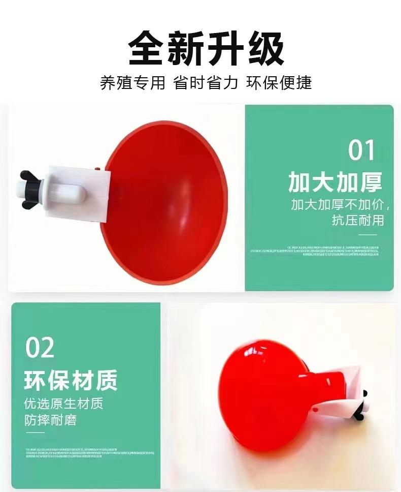 详情页 (14).jpg